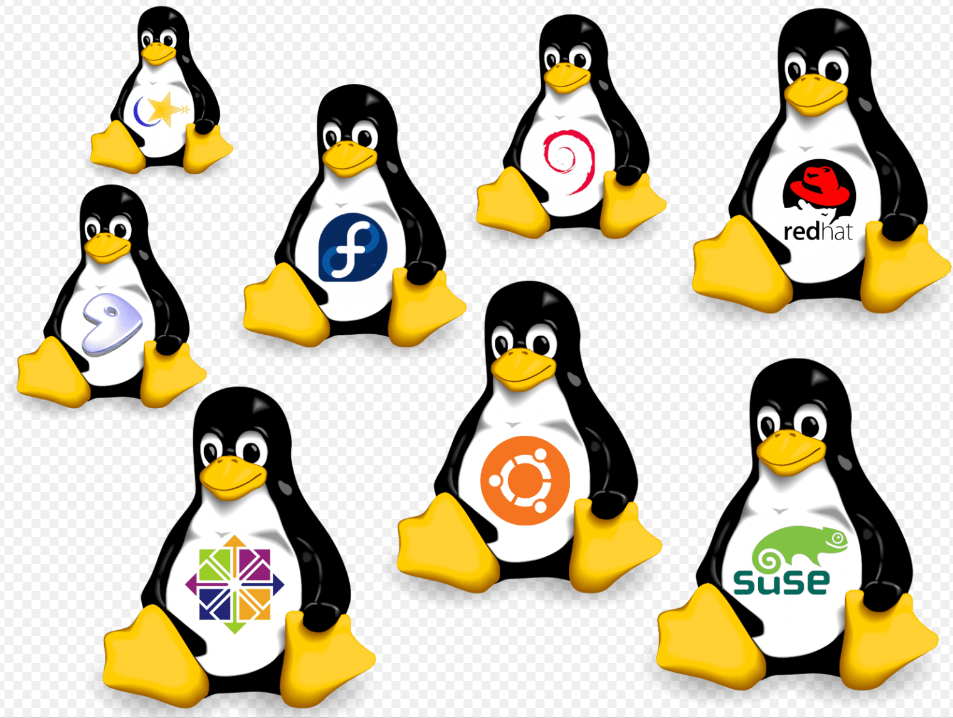 linux常用命令 linux常用命令